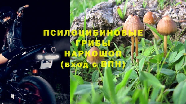 Альфа ПВП Арсеньев