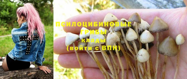 Альфа ПВП Арсеньев